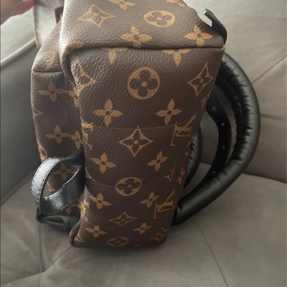 Louis Vuitton PALM SPRING Monogram PM size main image 6